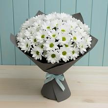Букет цветов из:  Хризантемы #REPLACE_PRED# Дубне