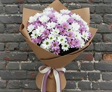 Букет цветов из:  Хризантемы #REPLACE_PRED# Дубне