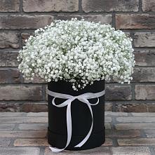 Цветочная композиция из Гипсофила в шляпной коробке в Дубне