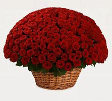 Премиум букет из: Розы в Дубне